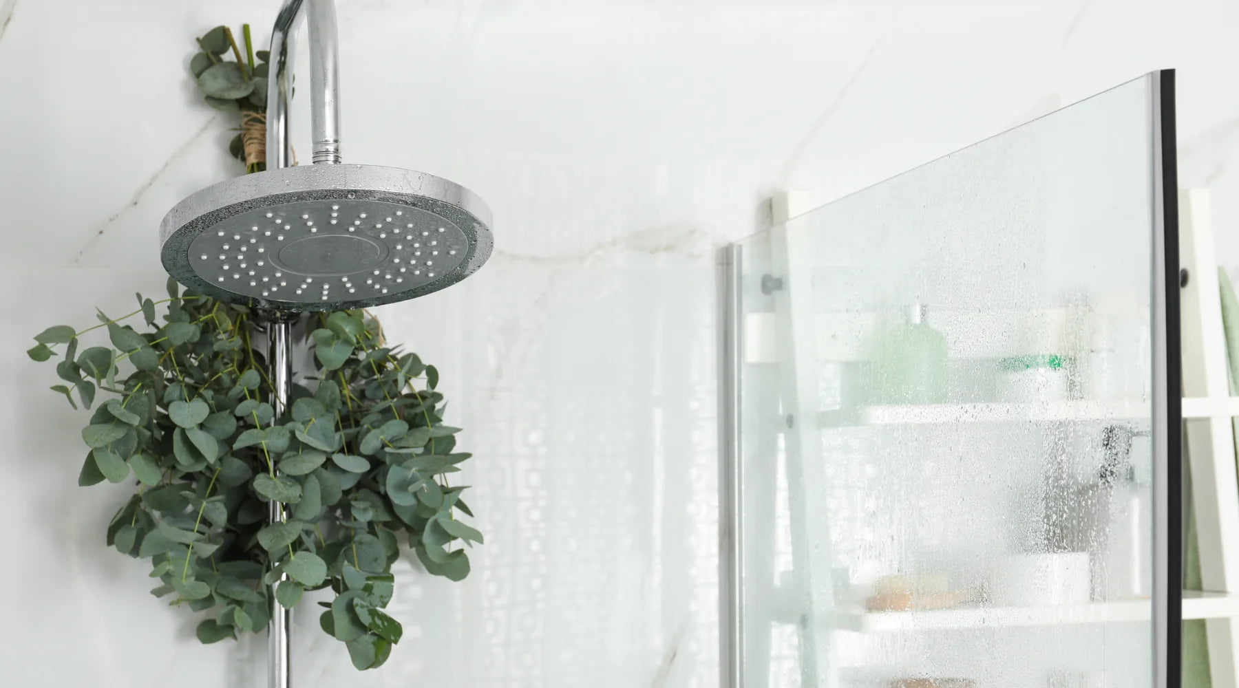 Shower Space Savers: How Soap Dishes Maximize Storage in Your Bathroom