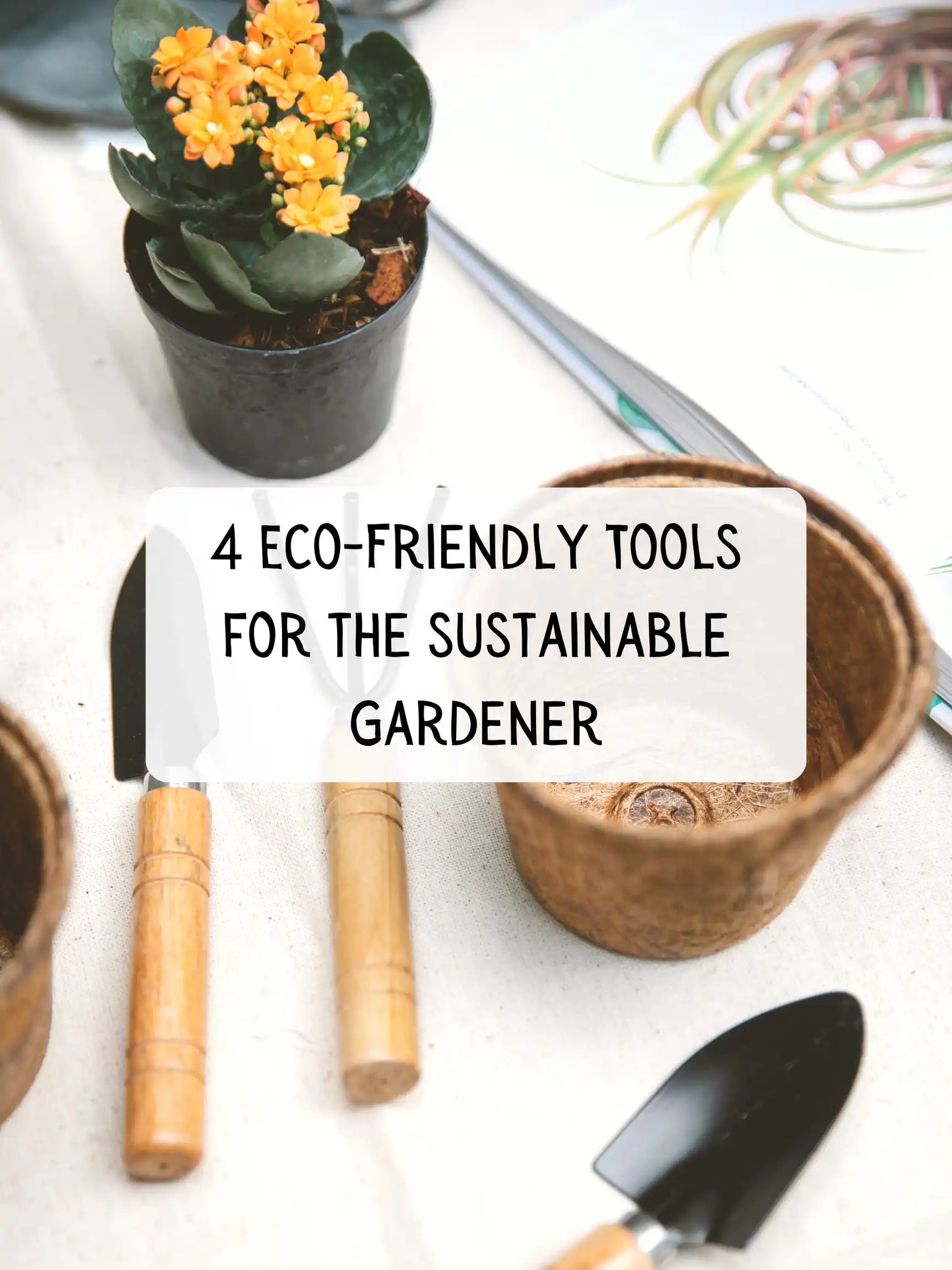 Four Eco-Friendly Tools for the Sustainable Gardener