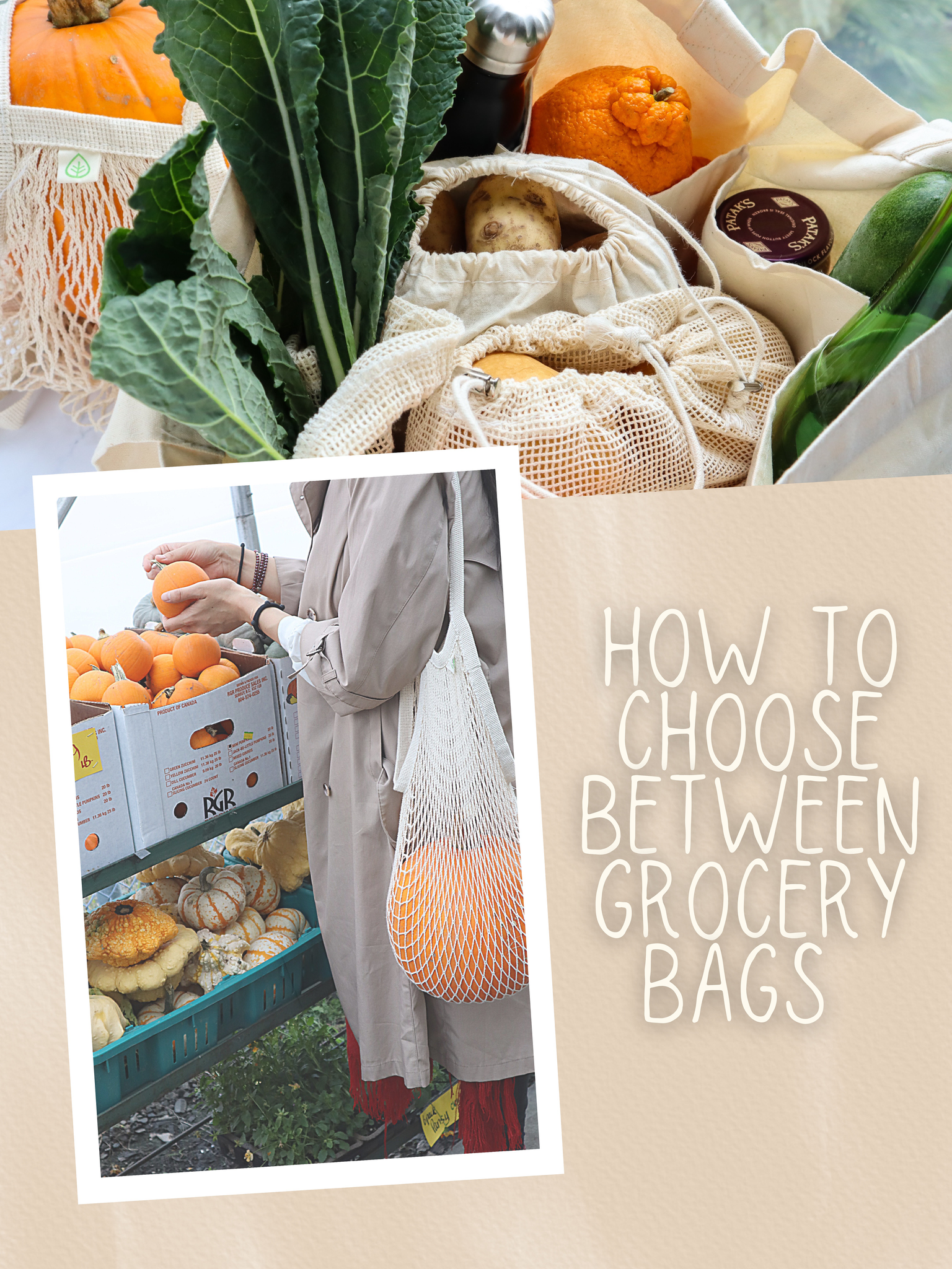 How to Choose Between Grocery Bags