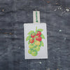 Cherry Tomatoes - NEW Eco Sponge