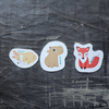 Set of 3 Barks and Roars Pop up Sponges