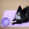 Optimize your small breed pet's digestion and oral hygiene with our Pet Slow Feeding Set. It comes with a collapsible drinking bowl, a textured licking plate for slower eating, and an anti-slip feeding mat for convenient cleanup.