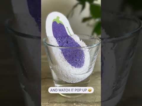 Expandable zero waste cellulose sponges: Video showcasing the eggplant pop-up sponge expanding in water.