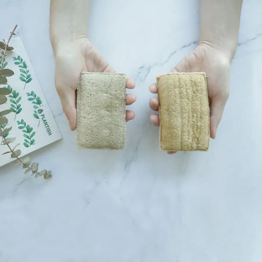 Hands holding eco-friendly sponges with scourer.