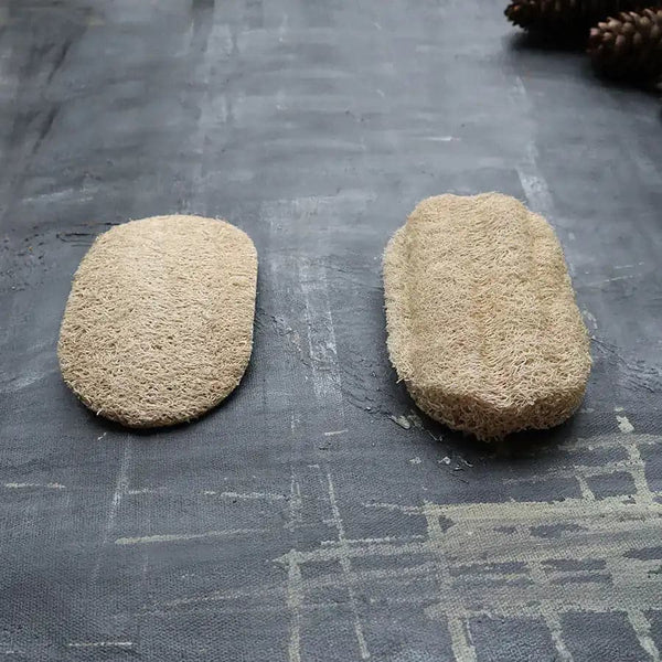 Namvo 5pcs Natural Eco Dishwasher Sponges,Sustainable Plastic Free