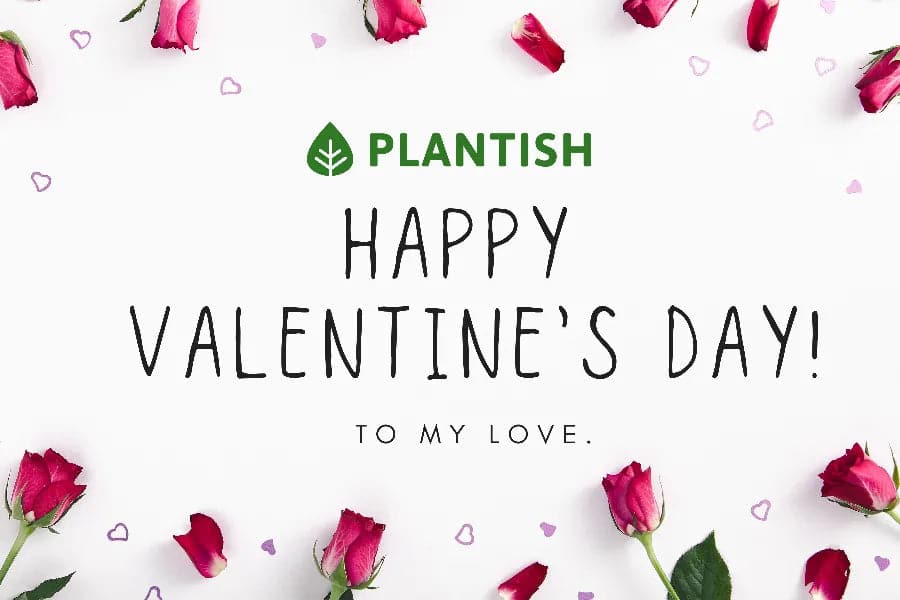 Digital Gift Card for Valentines. Plantish Future.