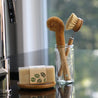 Plastic free coconut bottle brush, sisal dish brush, and solid dish soap brick on round bamboo-based soap dish.
