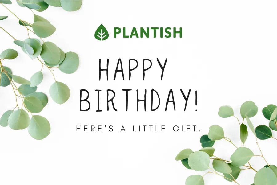 Digital gift card for Birthday. Plantish Future.