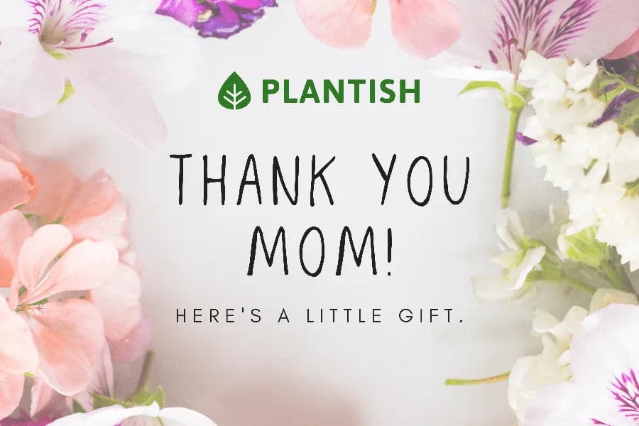 Digital Gift Card for Moms. Plantish Future.