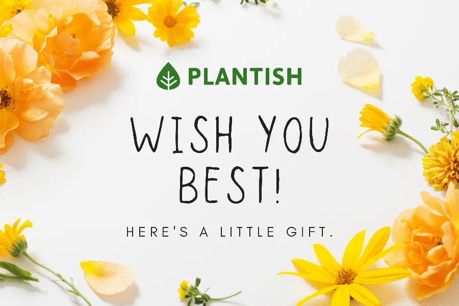 Digital gift card for best wishes. Plantish Future.