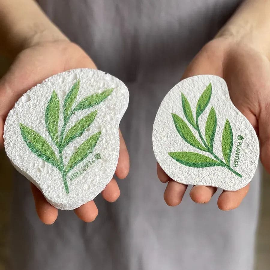 Hands holding wet and dry eucalyptus pop up sponges.