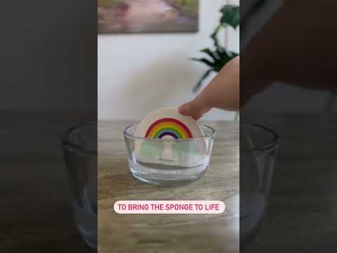 Video of hands soaking rainbow pop up sponge in bowl of water.