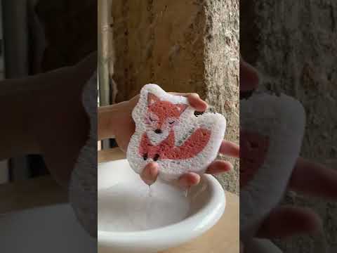 Hand pouring water on fox pop up sponge to expand it.