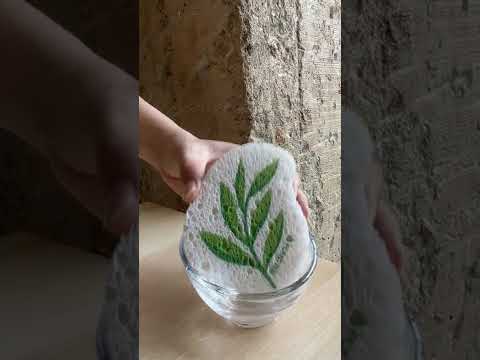 Video of hand soaking a natural and reusable eucalyptus pop-up sponge, expanding in water as a cleaning sponge.