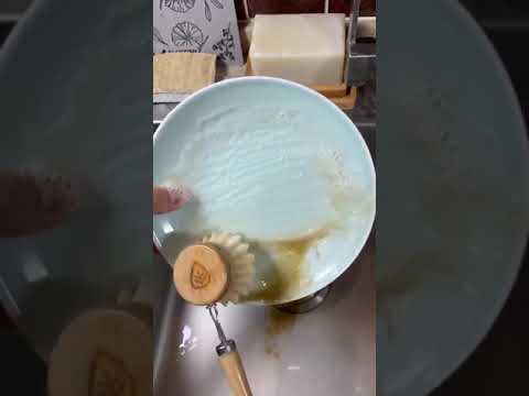 Video using sisal dish brush to clean dirty dishes.