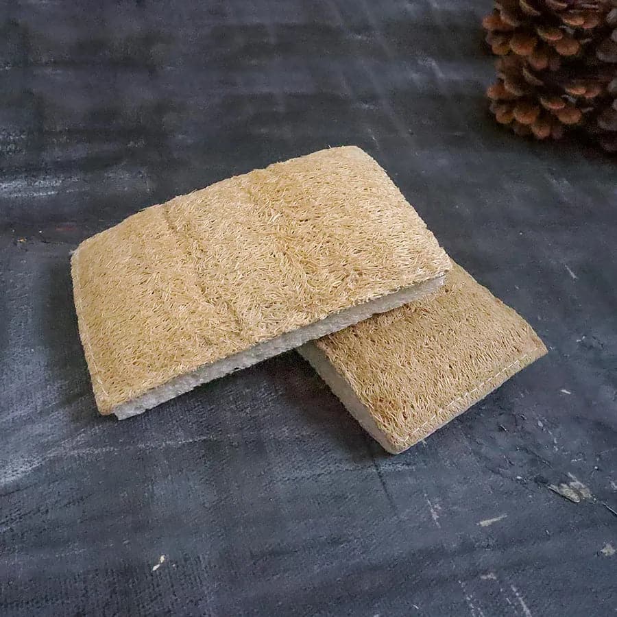 Eco Sponge Plantish