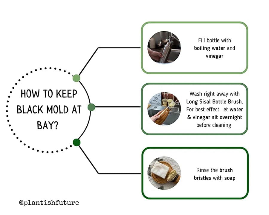 Infographic explaining how to keep mold at bay using sisal kitchen brushes. 