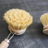 Close up of sisal fibre bristles on kitchen counter along with replacement head.