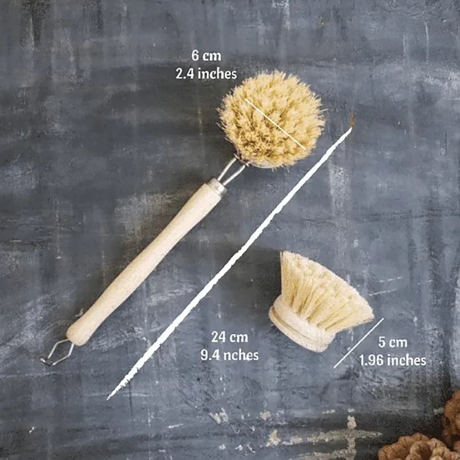 Dimensions of sisal dish brush and replacement head refill. 6 centimetres by 24 centimetres for the dish brush and 5 centimetres in height for the replacement head refill.