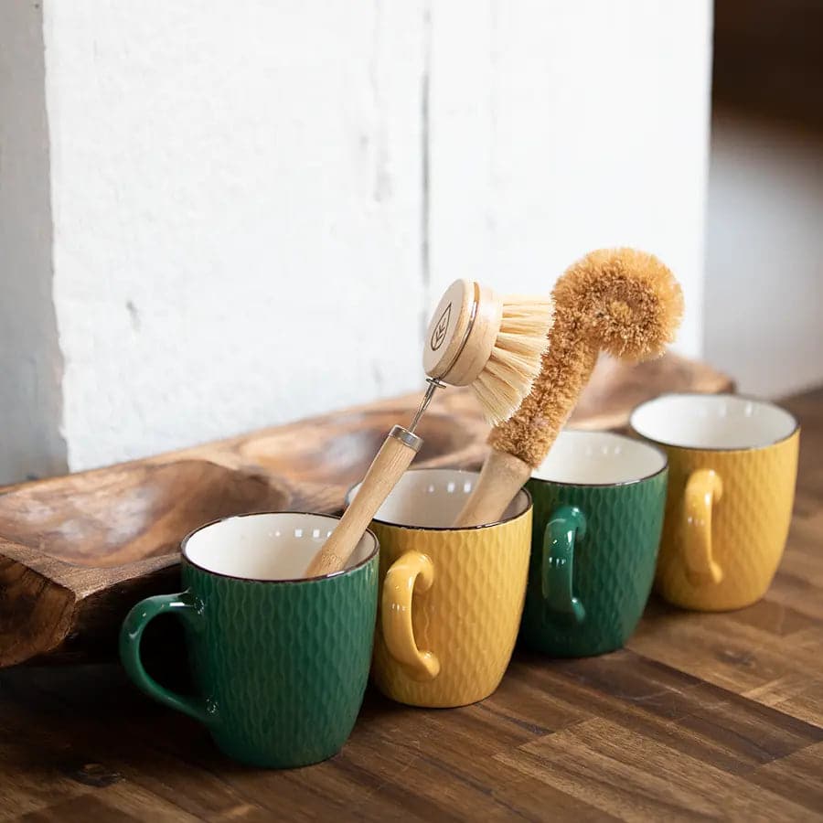 Sisal dish brush and coconut bottle brush in cups. Eco friendly kitchen cleaning tools.